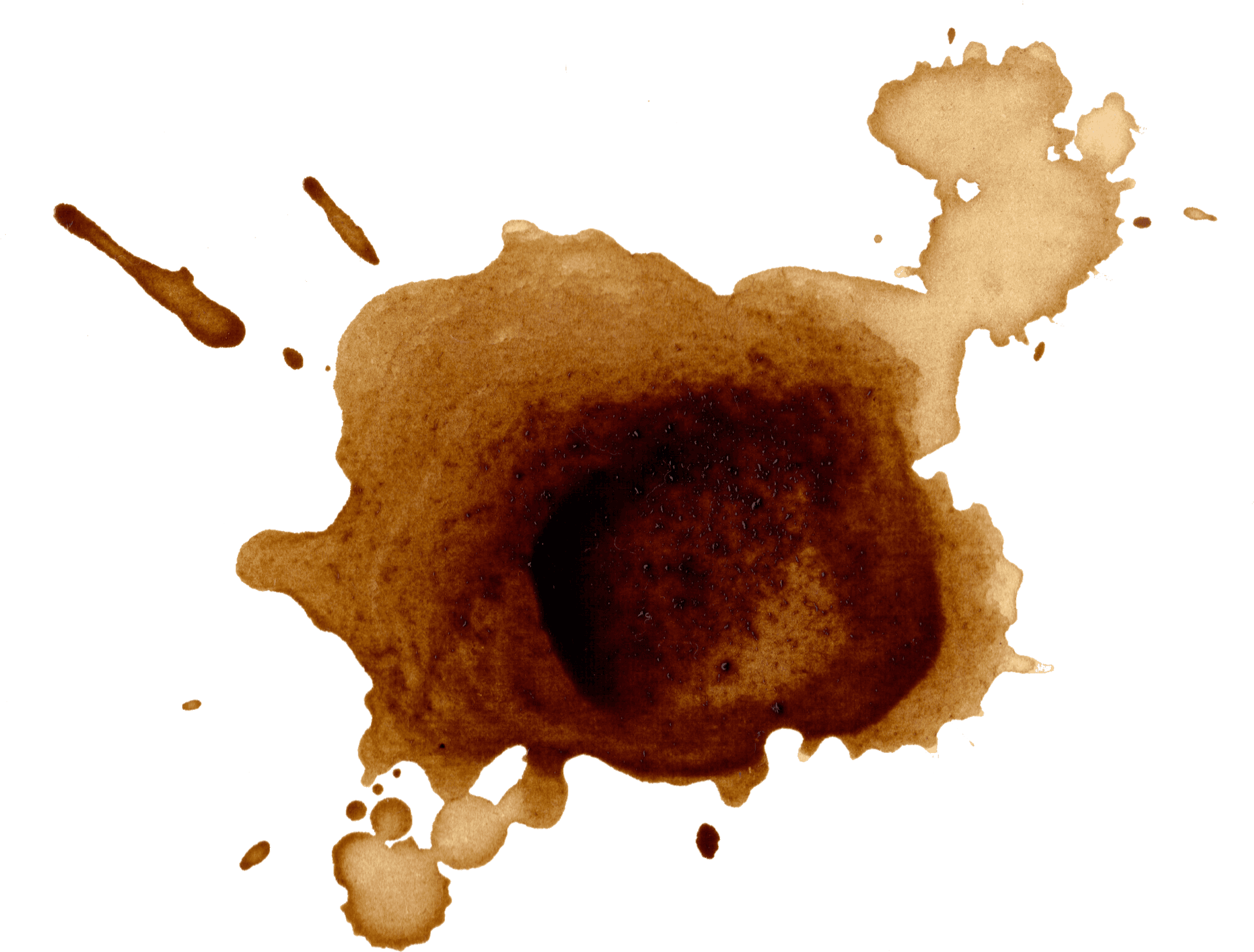 splot coffee stain